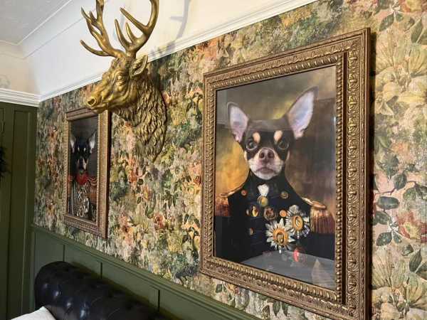 How to Display Pet Portraits?