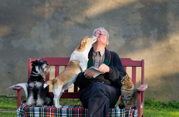 senior man with dogs and cat]