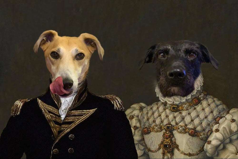 Dog 2024 admiral portrait