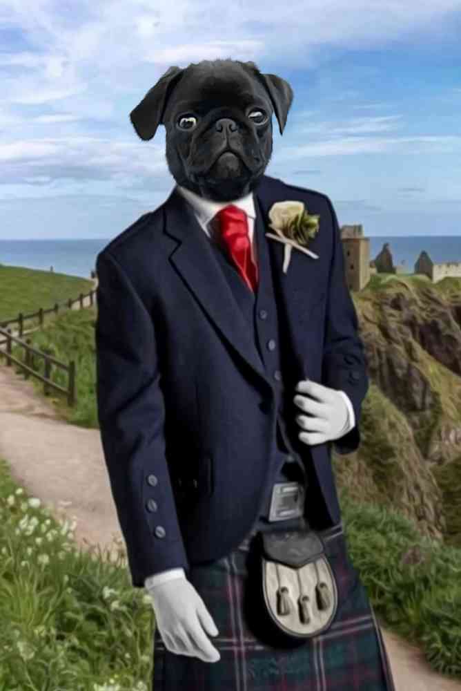Scottish Highlander Custom Pet Portrait Premium Poster
