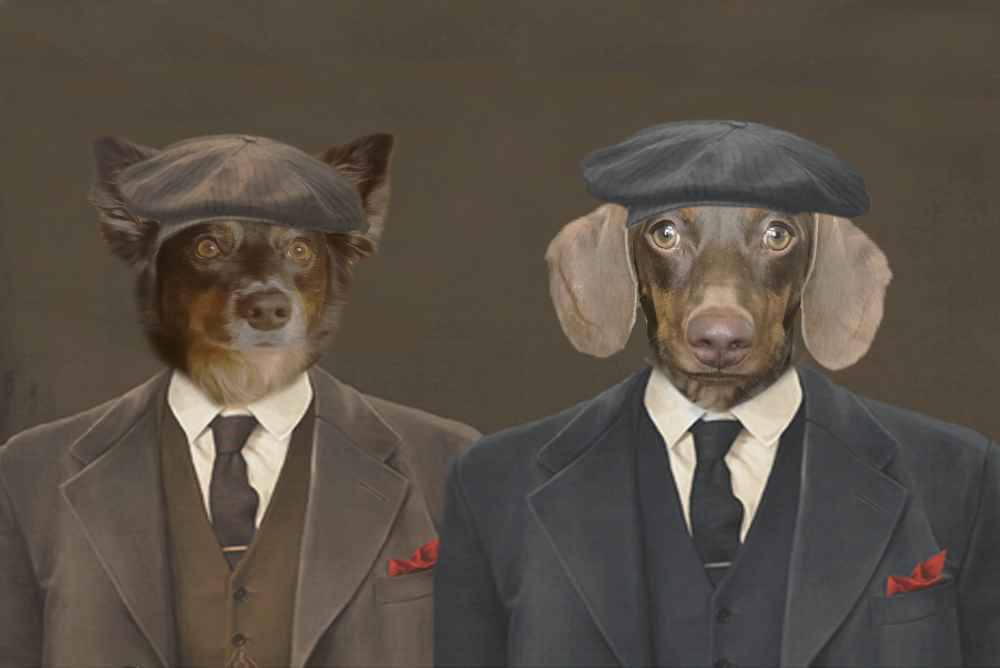 Shelby Pet Portraits Immortalize Your Pets in Gangster Style