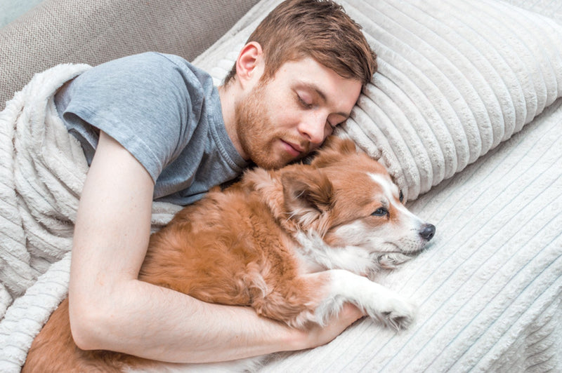 12 Ways Your Dog Shows They Love You