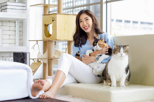 7 Easy Tips You Can Follow for First-Time Cat Owners