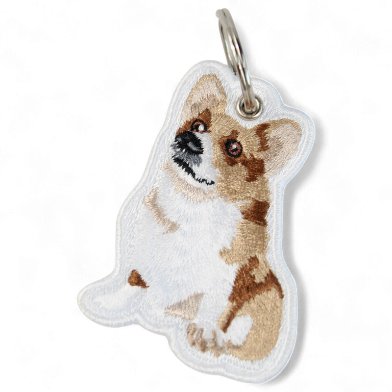 25 Cute Pet Tag Ideas