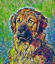 What Are the Benefits of Pet Portraits?