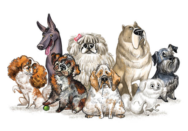 Pet Portraits for All Dog Breeds