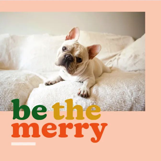 How to Create Custom Holiday Cards for Pet Lovers