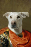 White dog in regal outfit pet portrait