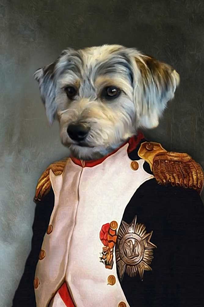 General Napoleon Custom Pet Portrait