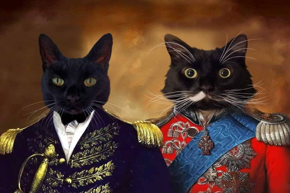 Admiral and Commander Custom Pet Portrait
