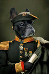 French Bulldog in regal military attire portrait