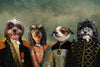 Custom pet portrait featuring four dogs in royal attire