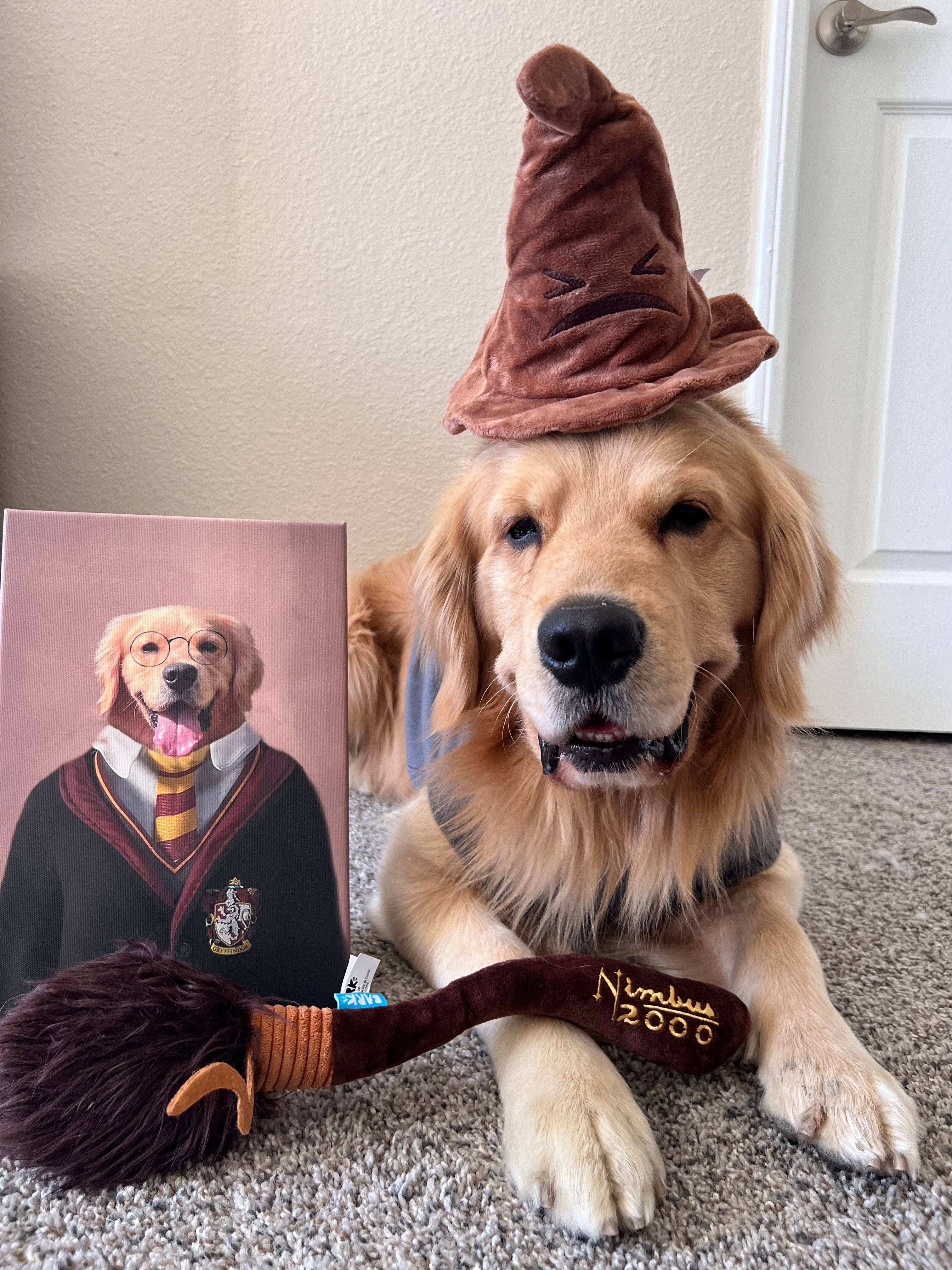 私のペットの肖像画 | カスタムペット肖像画 & ユニークなギフト