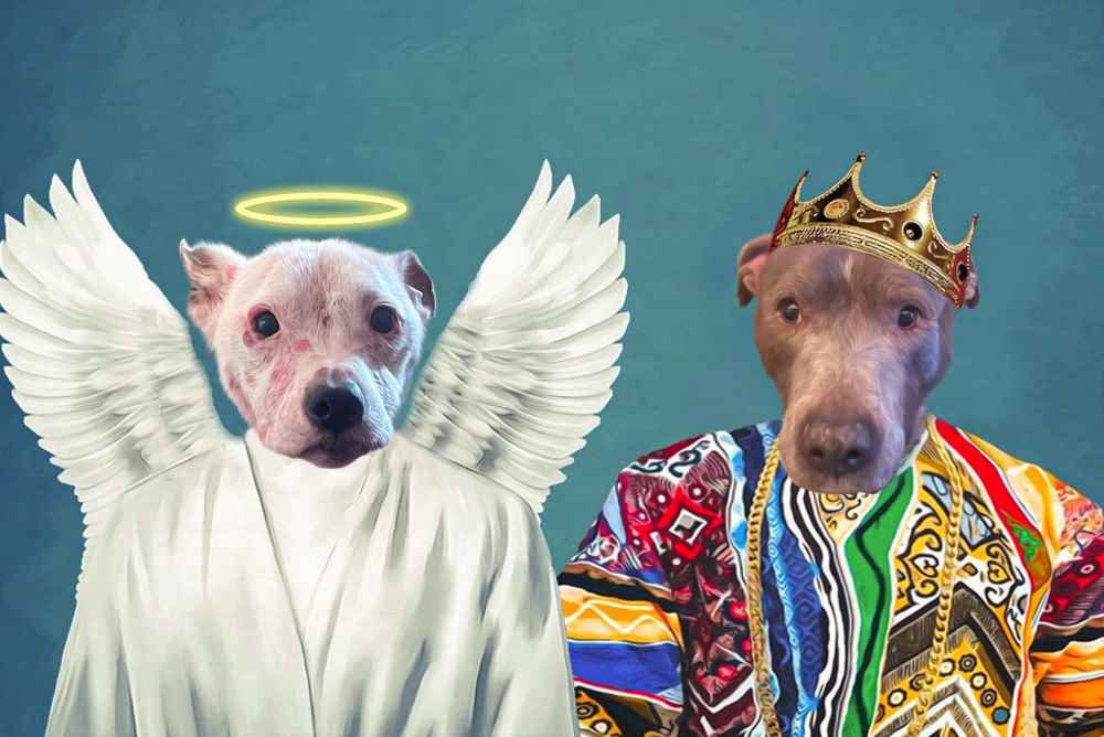 Angel and Notorious Custom Pet Portrait Premium Poster
