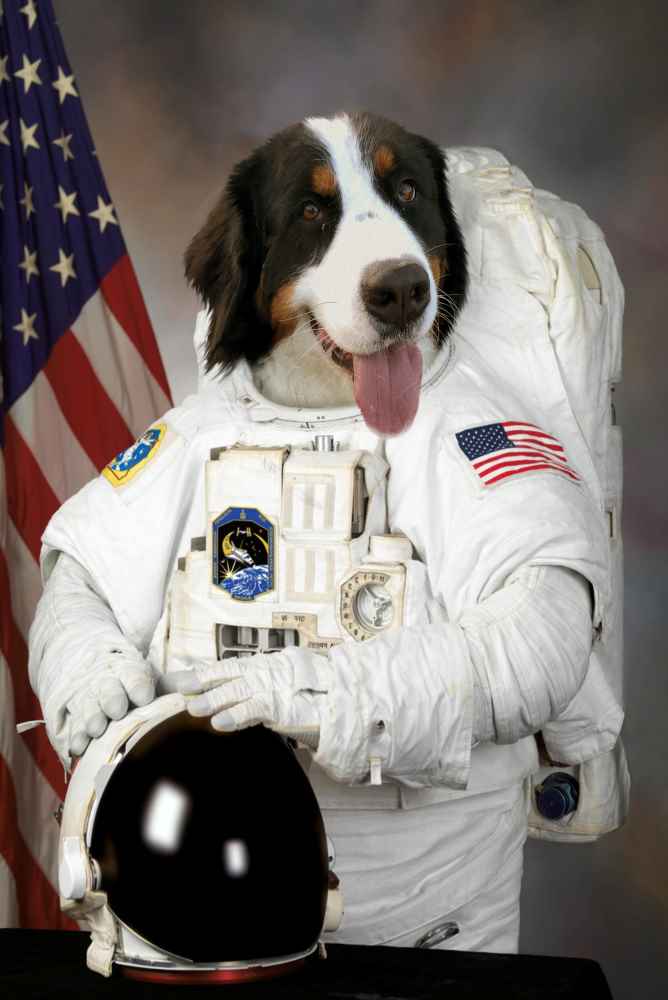 Astronaut Custom Pet Portrait Premium Poster