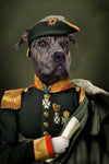 Pitbull in royal military uniform portrait