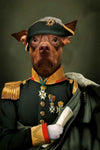 Doberman in majestic military outfit portrait