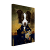 Side view of border collie captain portrait