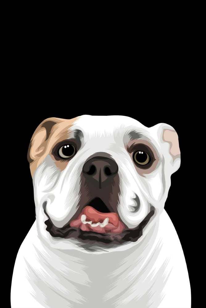Cartoon Custom Pet Portrait