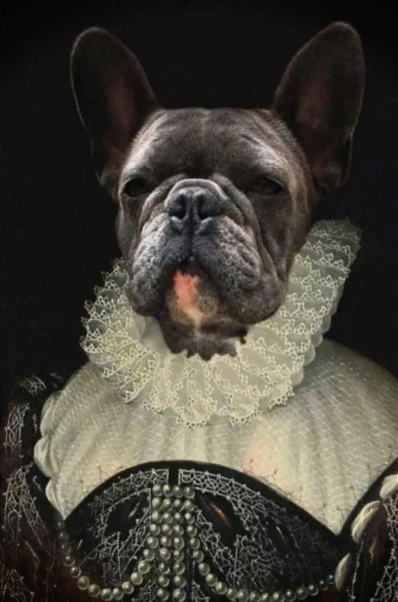 Countess Custom Pet Portrait Premium Poster