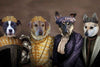 Regal dog portrait with four pets in duchess costumes