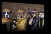 Canvas print of dogs dressed as duchesses