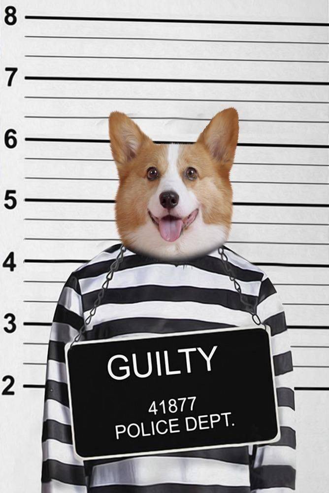 Guilty Custom Pet Portrait