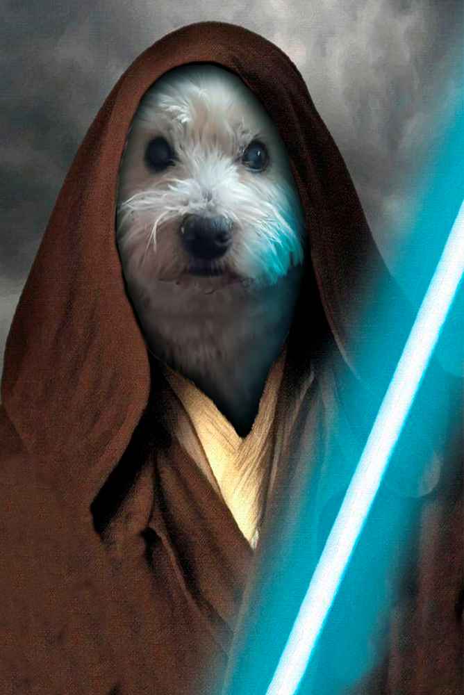 Jedi Custom Pet Portrait