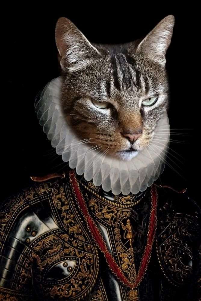 Prince of Piedmont Custom Pet Portrait Premium Poster