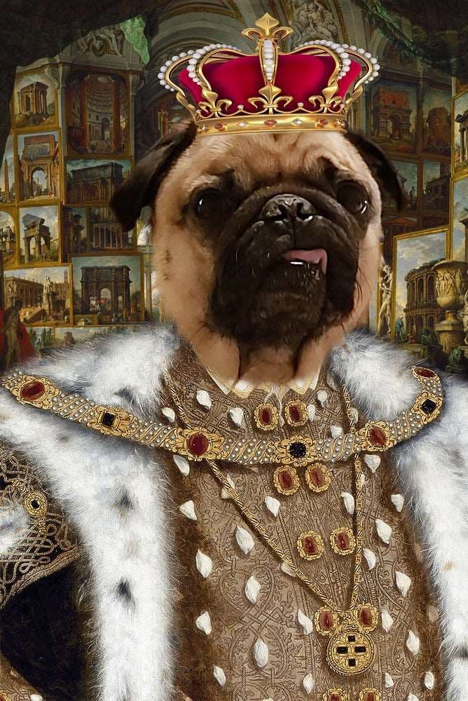 King Edward VI Custom Pet Portrait