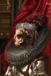 Marchesa Custom Pet Portrait