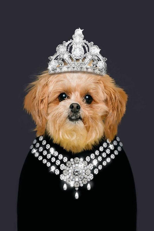 Monarch Custom Pet Portrait Premium Poster
