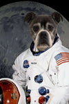 Dog in astronaut suit with moon background