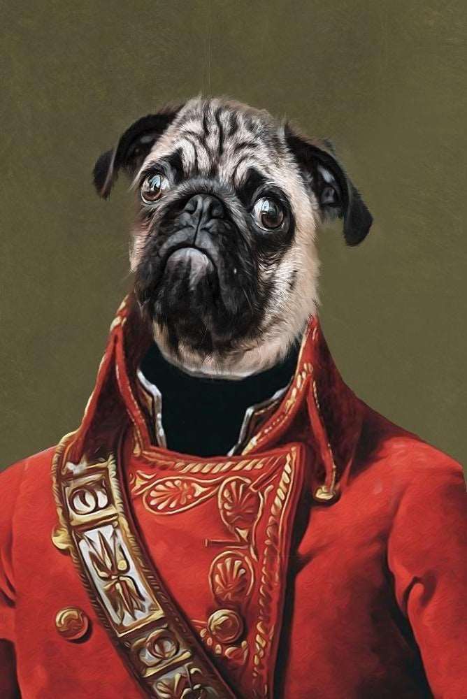 Napoleon Custom Pet Portrait