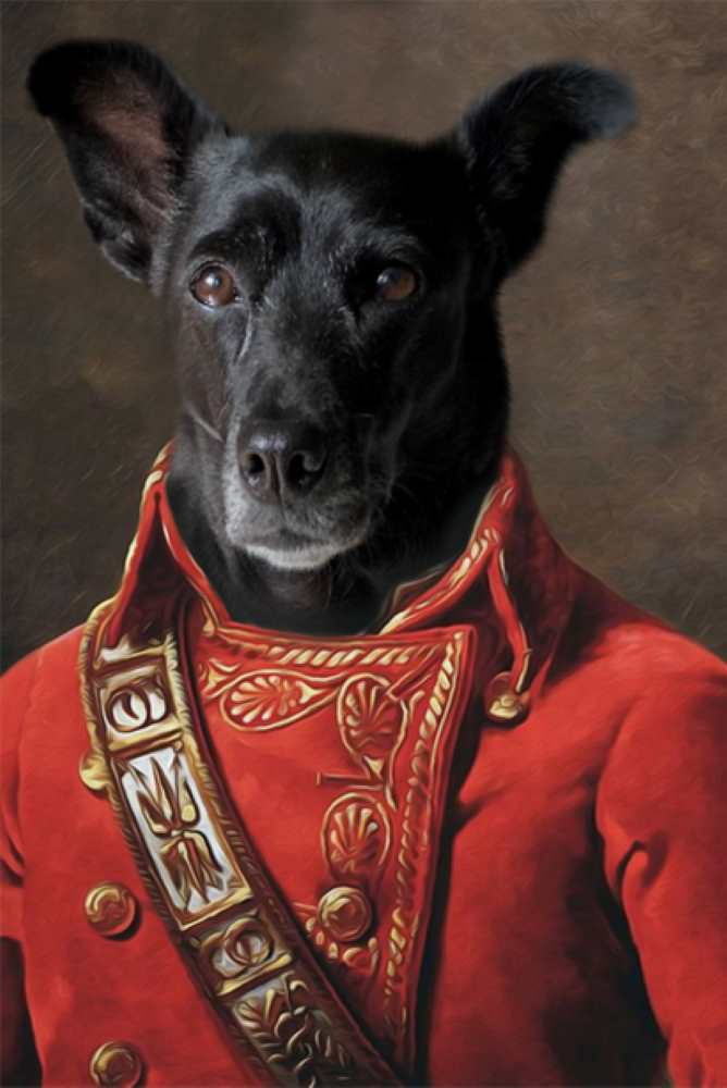 Napoleon Custom Pet Portrait Premium Poster