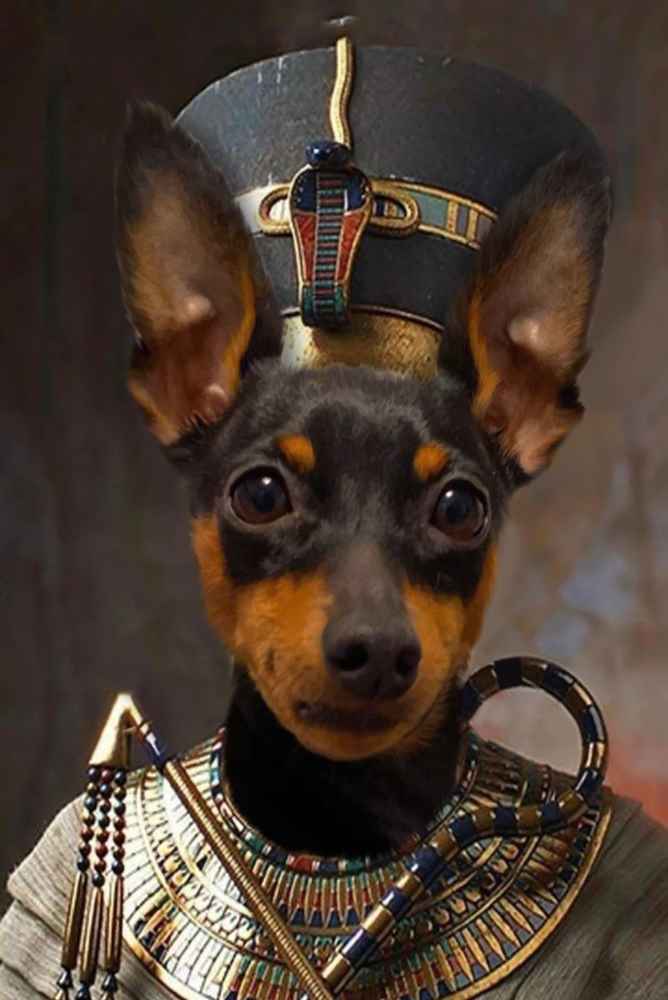 Nefertiti Custom Pet Portrait
