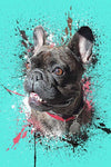 Oil Paint With Splatter Custom Pet Portrait