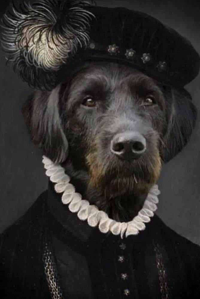 Philosopher Custom Pet Portrait