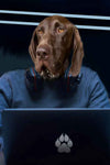 Dog as tech wizard with laptop portrait