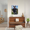 Scottish Highlander dog portrait on wall above piano