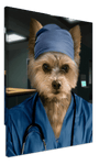Framed pet portrait of a dog dressed as a surgeon.