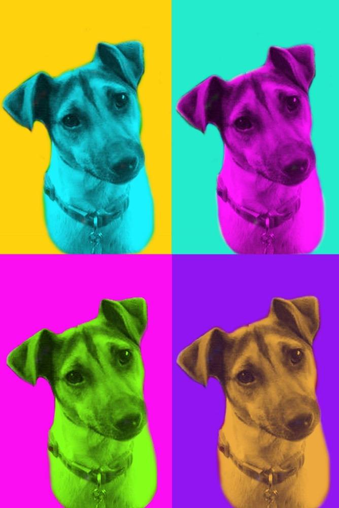 Warhol Art Custom Pet Portrait